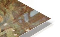 Lots escape HD Metal print