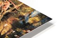Venusfest HD Metal print
