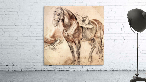 Horse studies Wall Preview