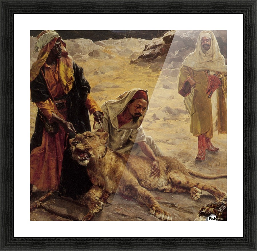 Captured Lion Picture Frame print