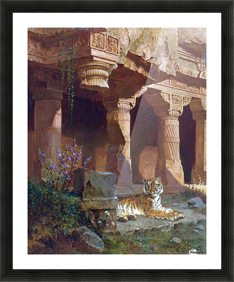 Tiger at rest Picture Frame print