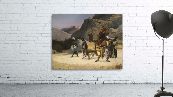 A captive tiger Wall Preview