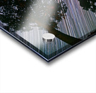 Canopy of Time Acrylic print