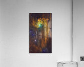 Astronight Astrophotography 5 Acrylic Print