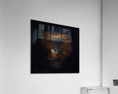 Emergence Acrylic Print