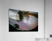 Canopy of Time Acrylic Print