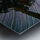 Canopy of Time Metal print