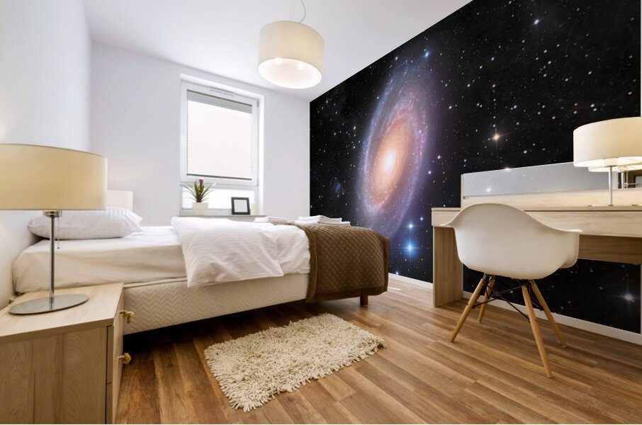 Astronight Astrophotography 2 Mural print