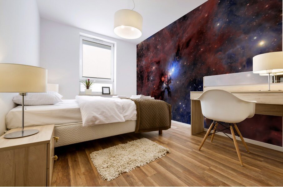 Astronight Astrophotography 3 Mural print