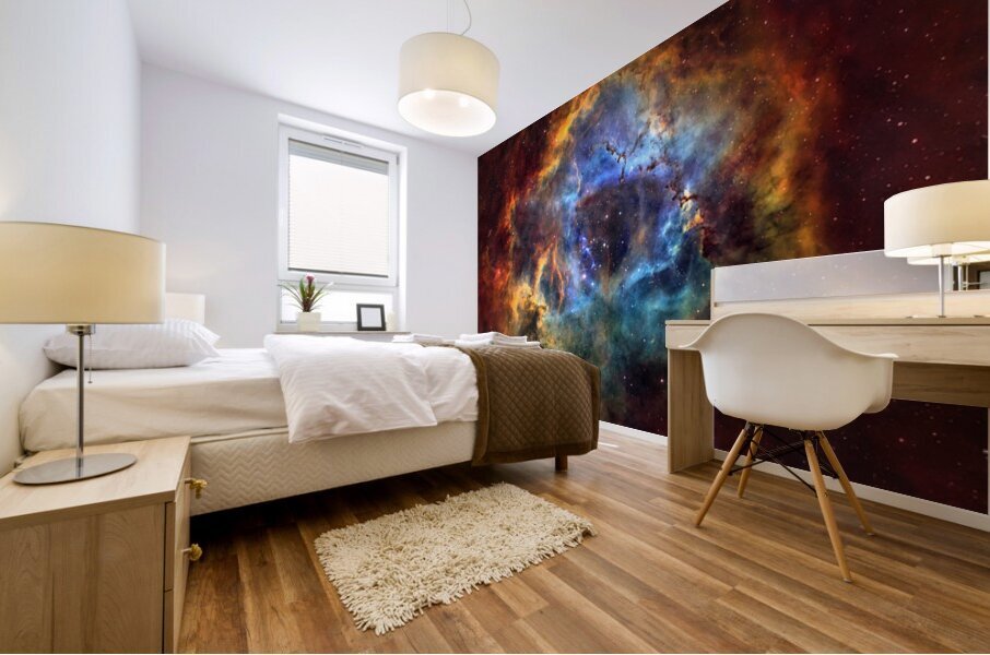 Astronight Astrophotography 9 Mural print