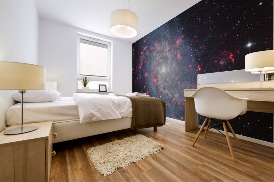 Astronight Astrophotography 12 Mural print