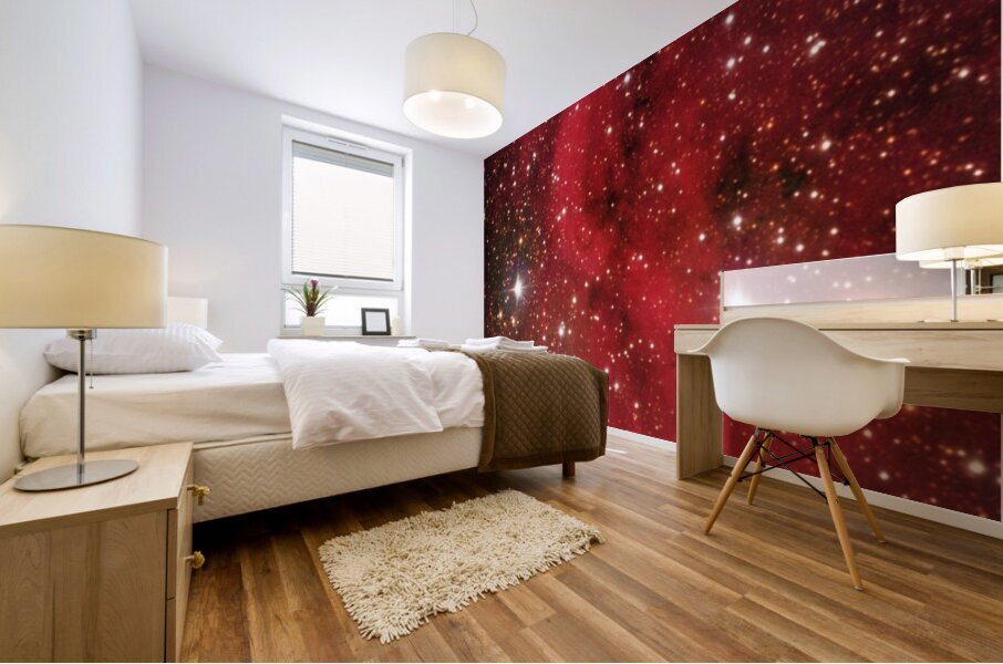 Astronight Astrophotography 4 Mural print