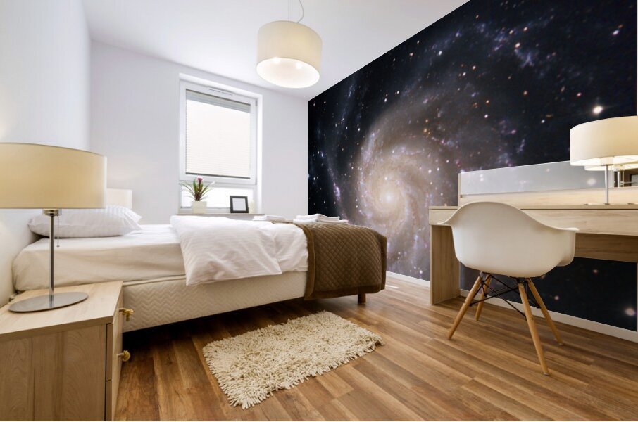 Pinwheel Galaxy Mural print
