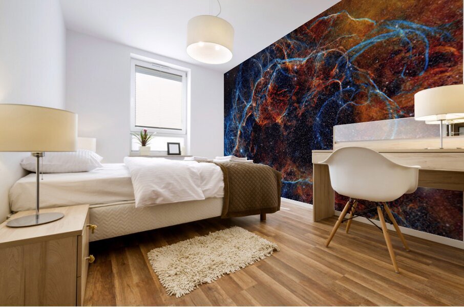 Echoes of a Lost Star Mural print