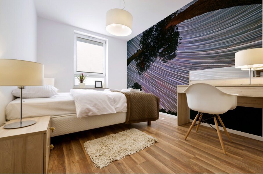 Canopy of Time Mural print