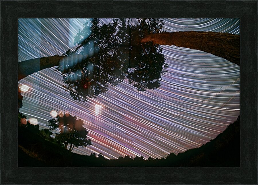 Canopy of Time Picture Frame print