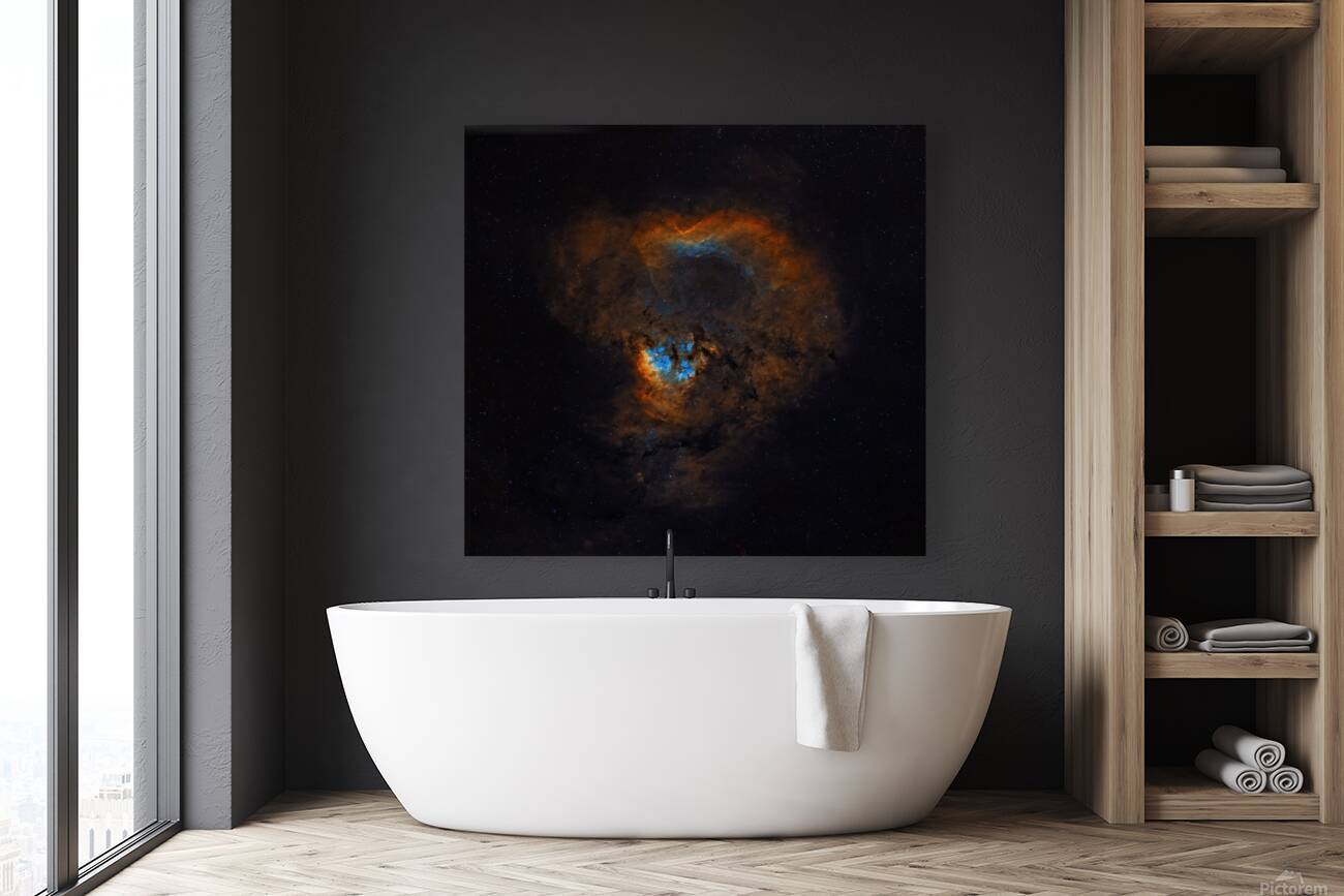 Emergence Reproduction