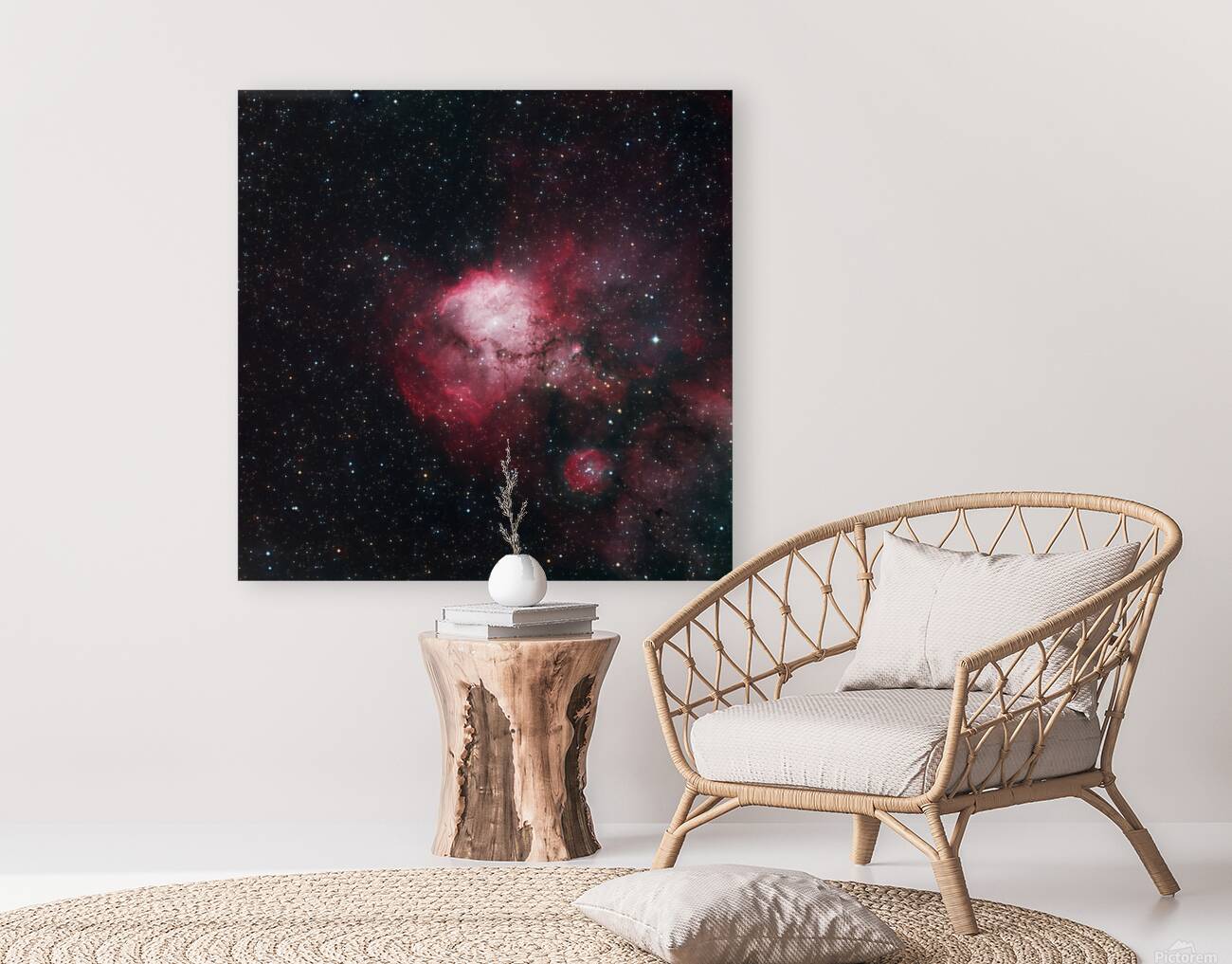 Stellar Nursery Reproduction