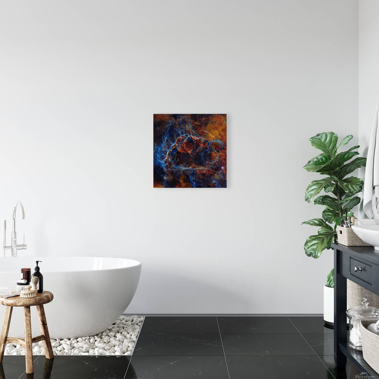 Echoes of a Lost Star Reproduction