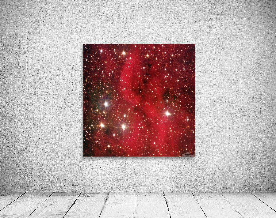 Astronight Astrophotography 4 Wall Preview