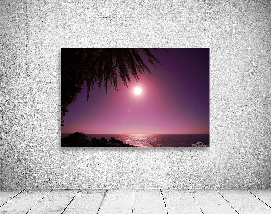 Astronight Astrophotography 9 Wall Preview