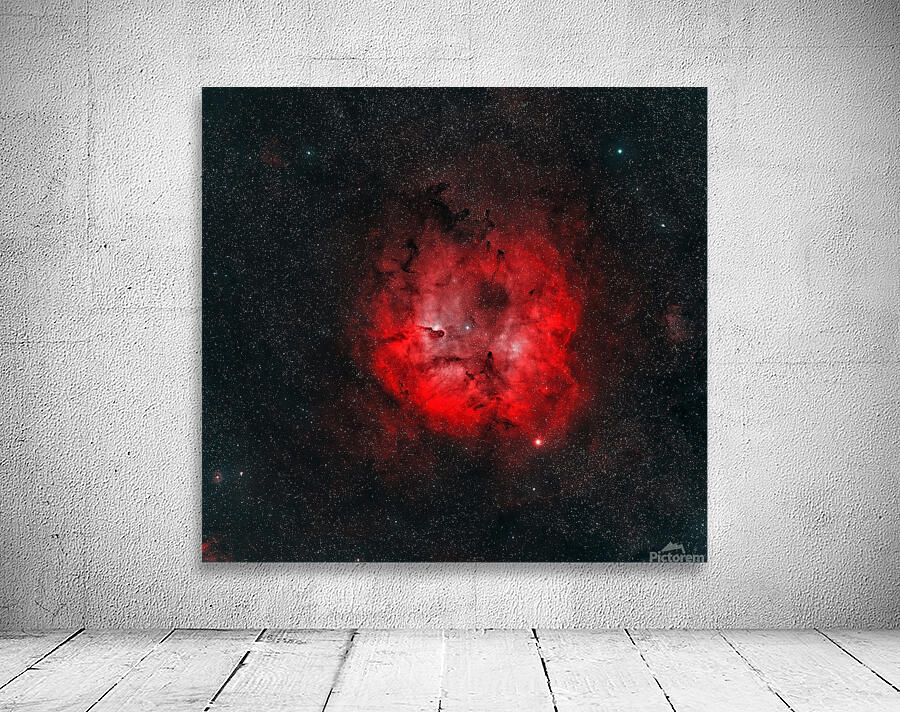 Elephant’s Trunk Nebula Wall Preview