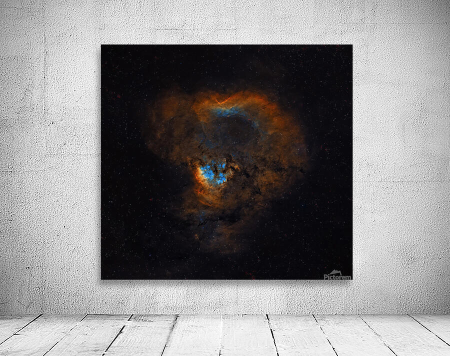 Emergence Wall Preview