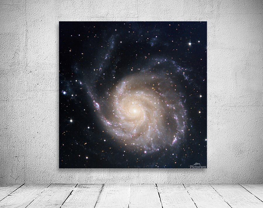 Pinwheel Galaxy Wall Preview