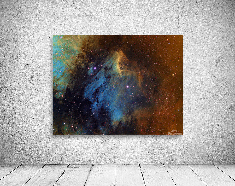 IC 5070 — The Pelican Nebula Wall Preview