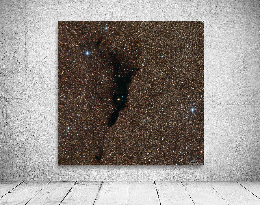 “Cosmic Negative Space” Wall Preview