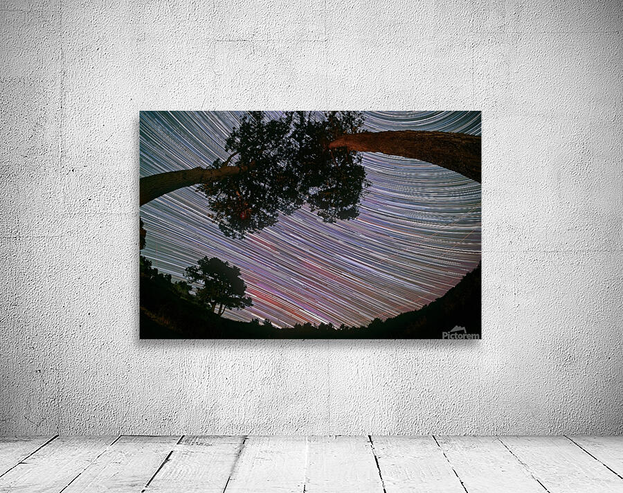 Canopy of Time Wall Preview