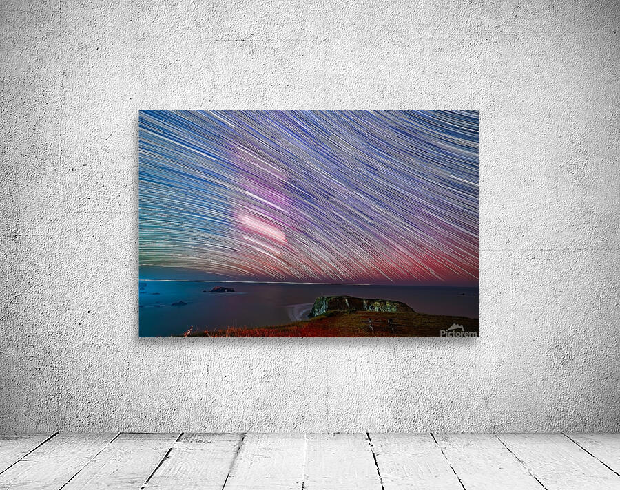 Night in Motion Wall Preview