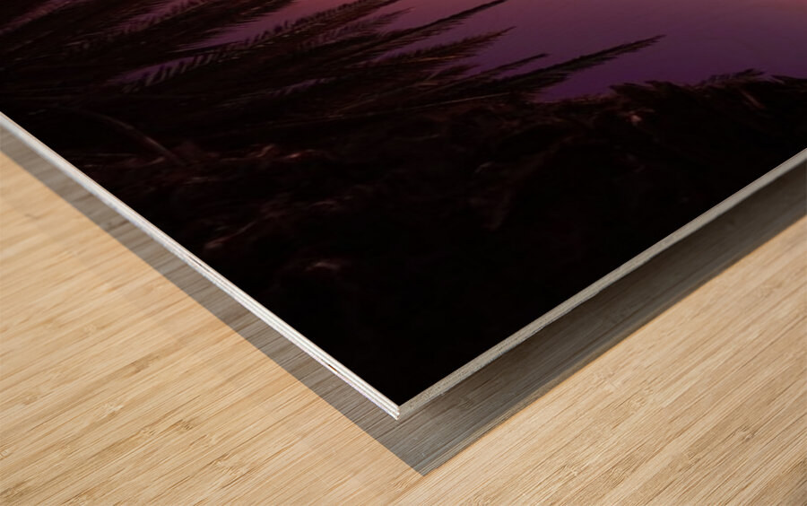 Astronight Astrophotography 9 Wood print