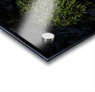 Dense Green Clumps Acrylic print