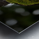 Tree Moss Metal print