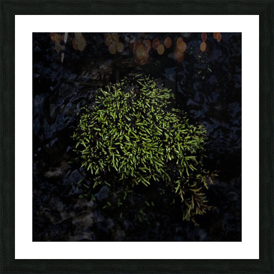 Dense Green Clumps Picture Frame print