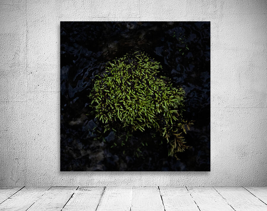 Dense Green Clumps Wall Preview