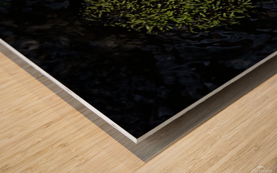 Dense Green Clumps Wood print