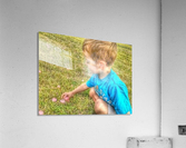 jack jack flower Acrylic Print