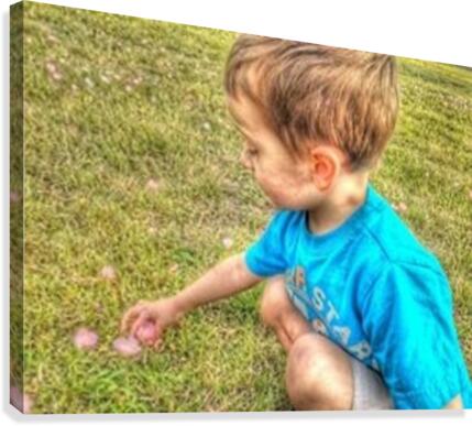 jack jack flower Canvas Print