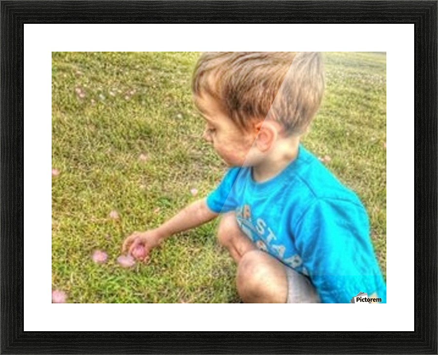 jack jack flower Picture Frame print