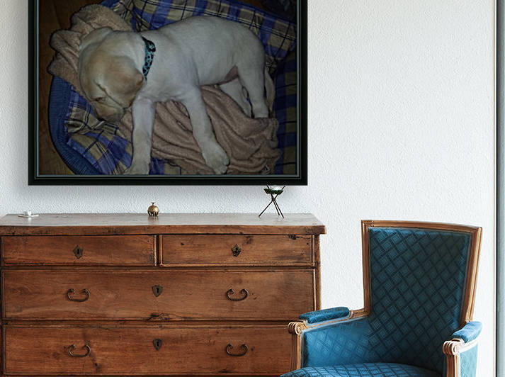 puppy by Crystal Michelle Caraway