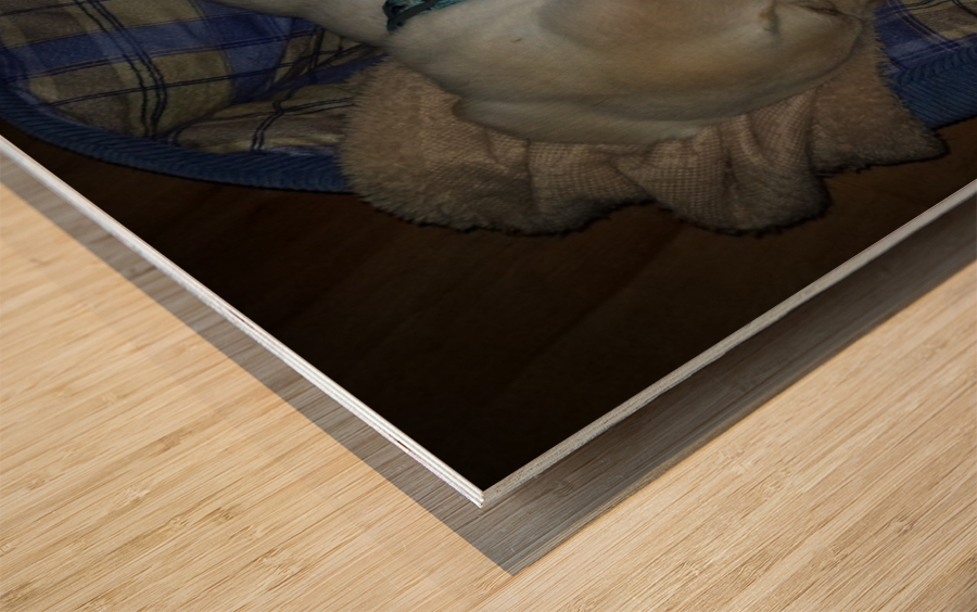 puppy Wood print