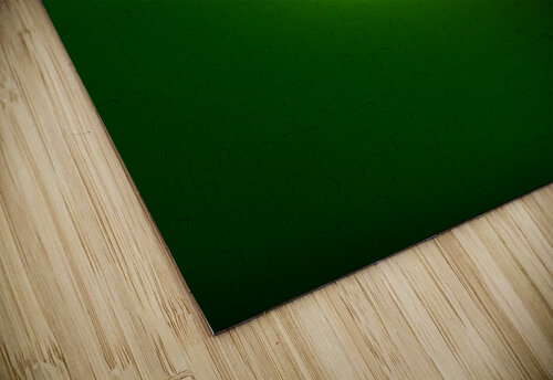 Bubble - Green Julian Lynch puzzle