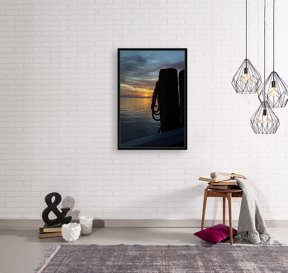 Capacino Dawn Reproduction