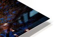 Majestic Tree HD Metal print