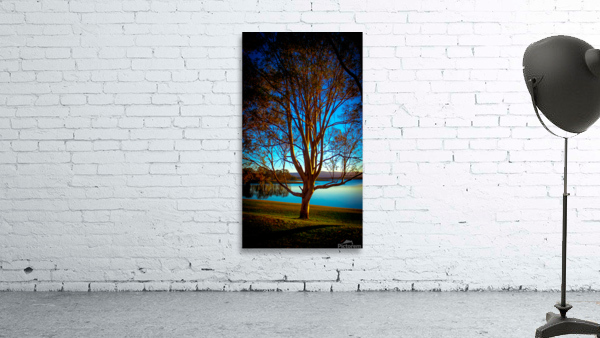Majestic Tree Wall Preview