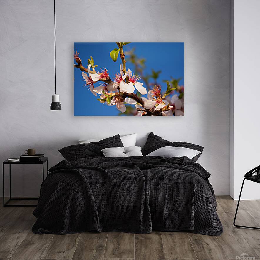 Almond Blossom Reproduction
