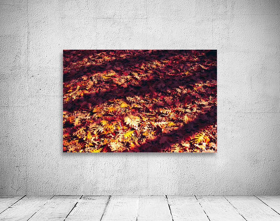 Forever Autumn Wall Preview