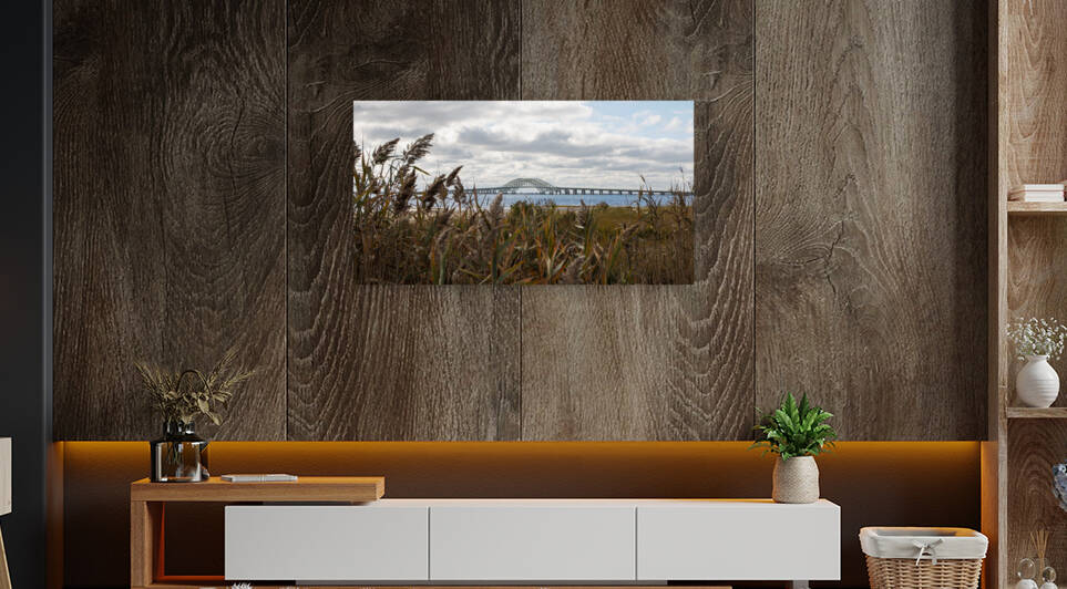 Looking through common reed at the Great Sout by Woodys Photos